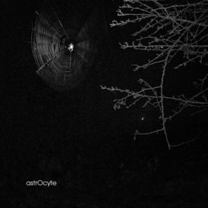 reflexion-graphique-astrocyte-spidersweb