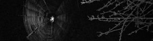 reflexion-graphique-astrocyte-spidersweb-header